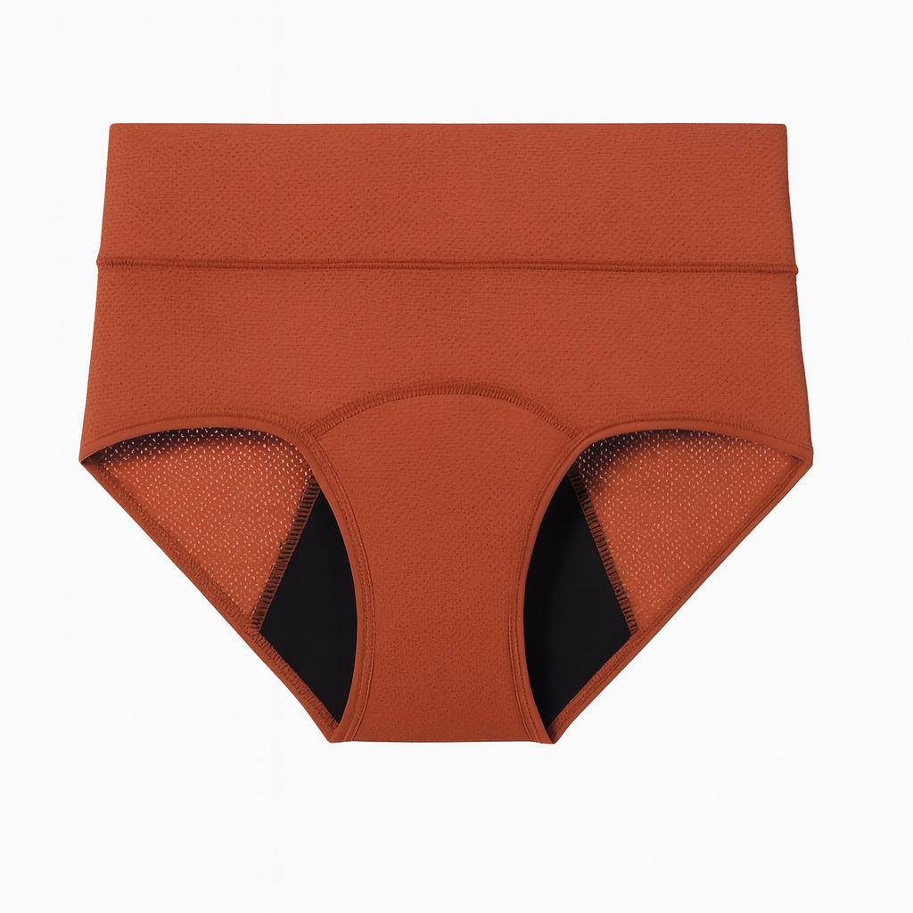 NoLeaks™ Leakproof High Waist (Single Pair)